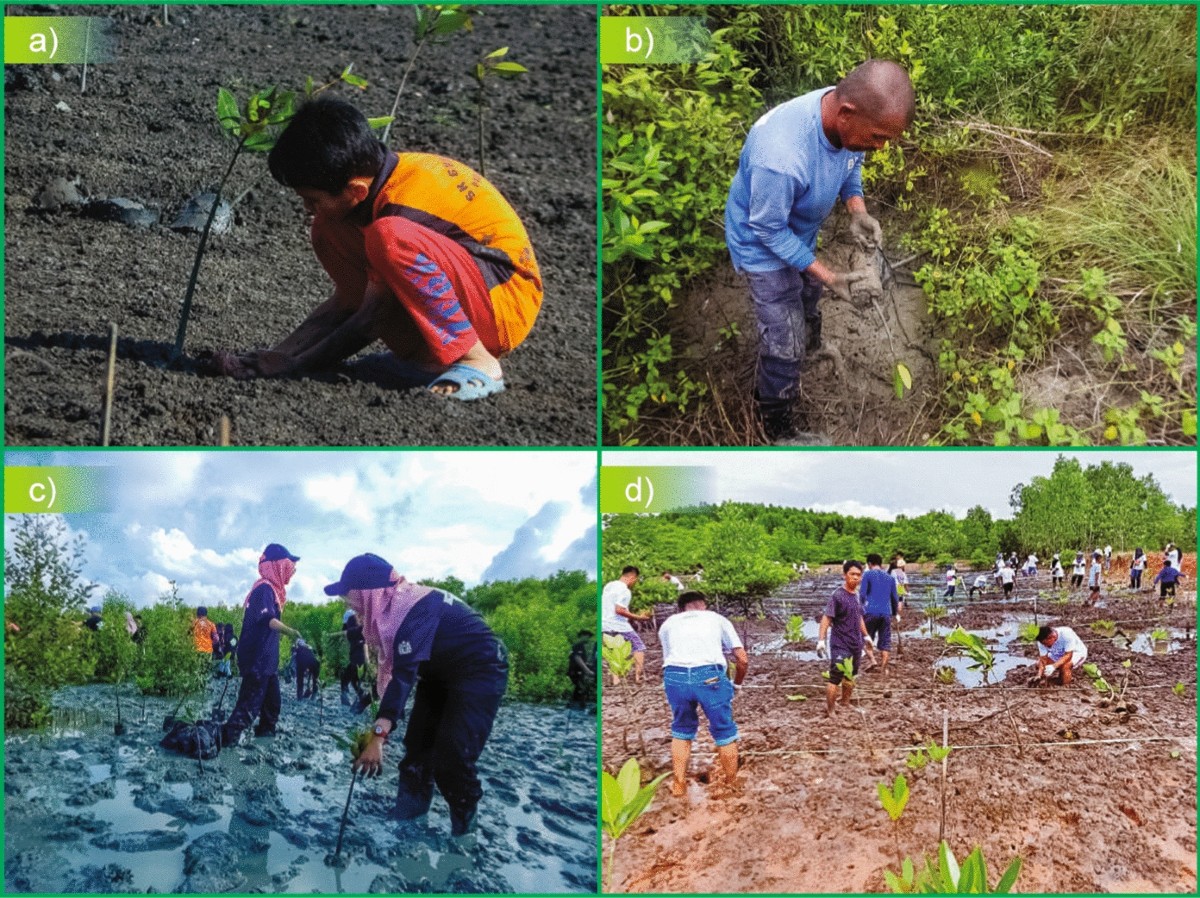 Conceptual Synthesis of Malaysian Mangrove Biodiversity, Carbon Storage & Threats