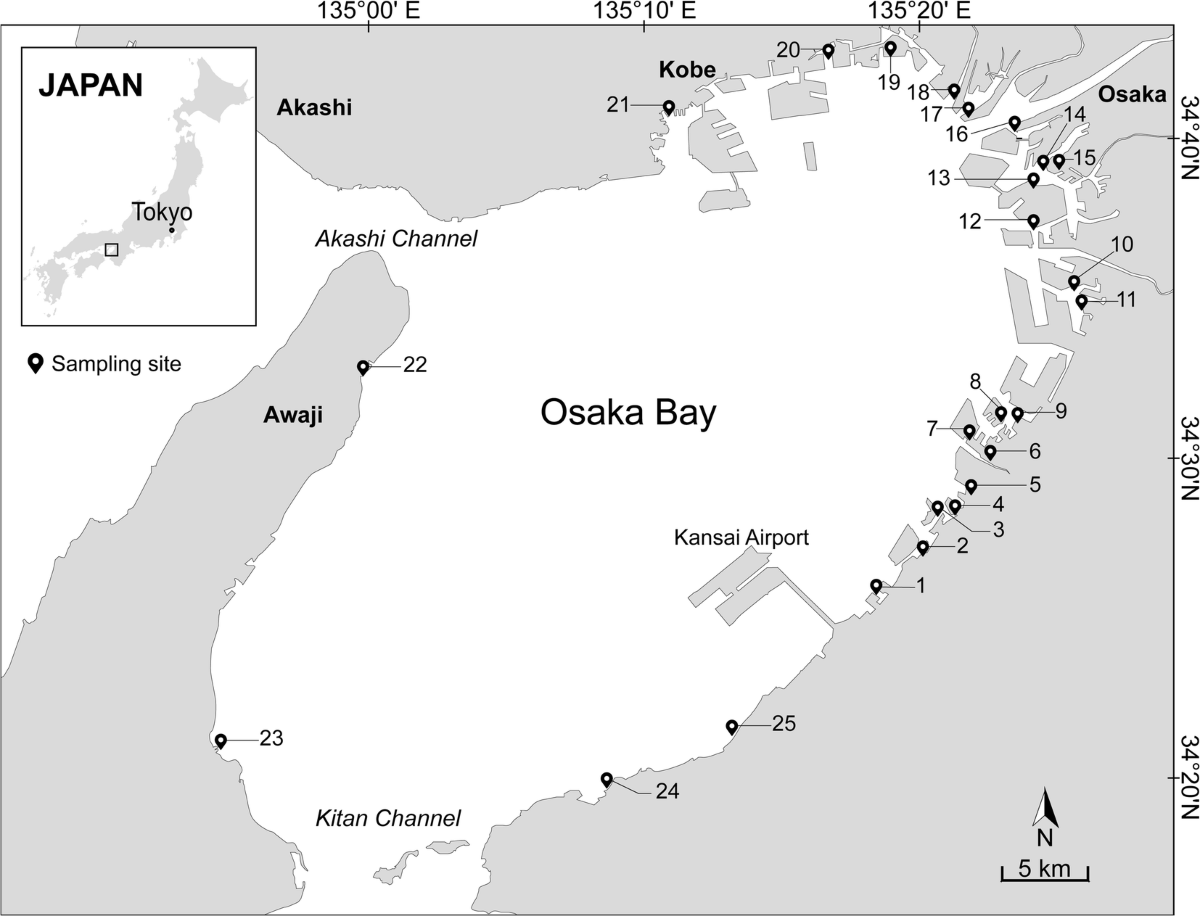 25-Station Surface Sediment Geochemical Sampling Network in Osaka Bay, Japan