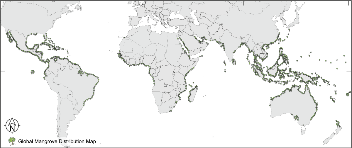 Sources, Trophic Bioaccumulation & Microbial Bioremediation of PAHs in Mangroves