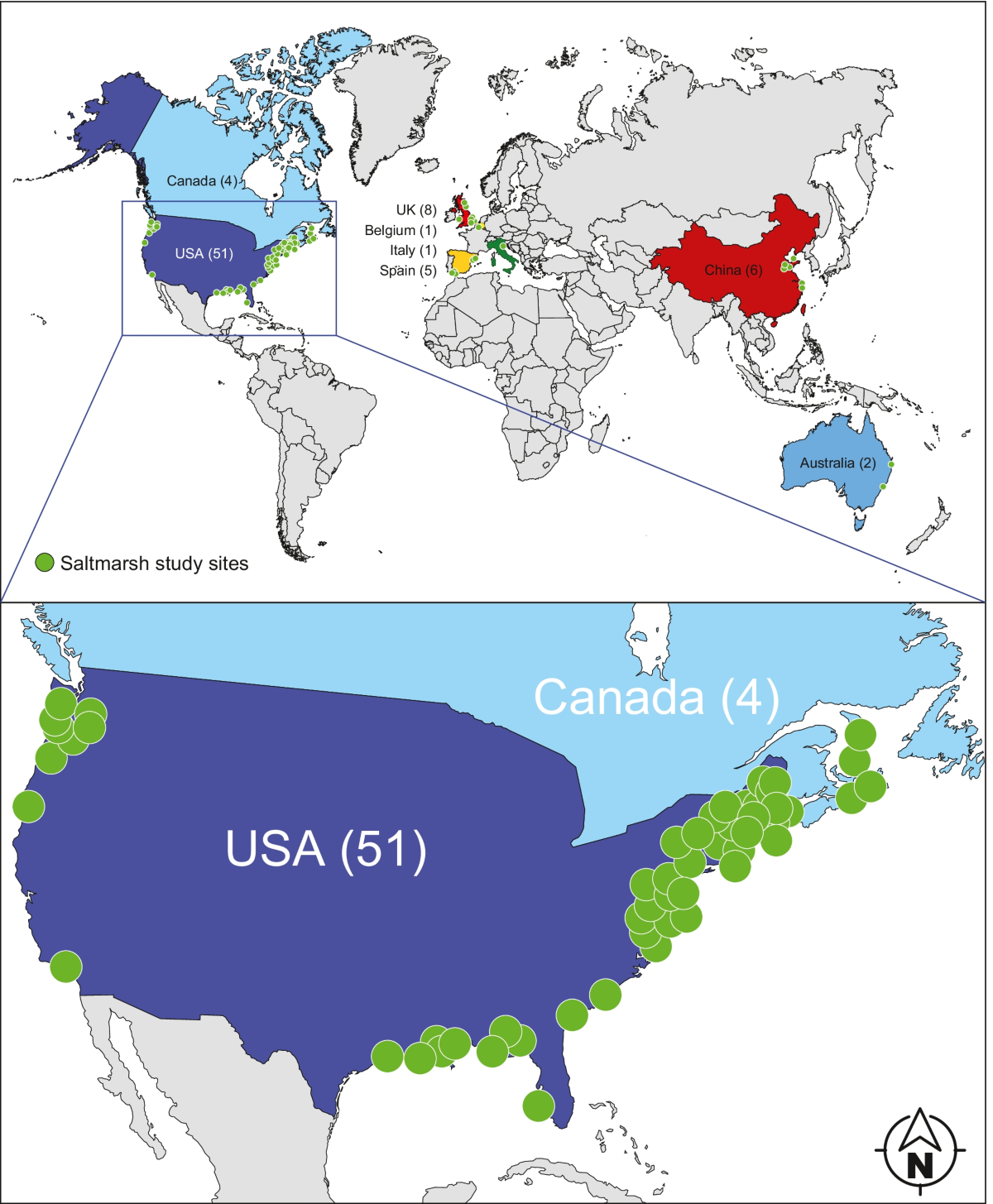 Global Synthesis of Salt Marsh Restoration Engineering & Hydrological Reconnection
