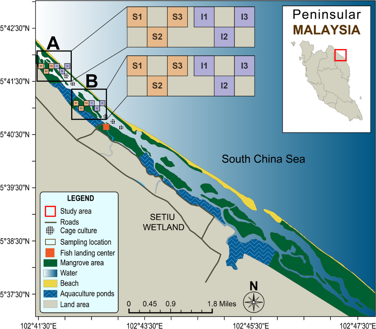 Aboveground Biomass & Sediment Carbon Stocks in Setiu Lagoon Mangrove Islands