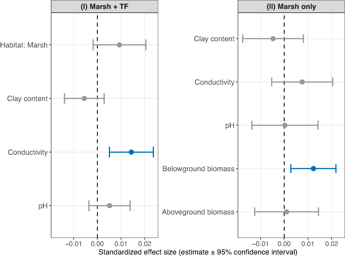 Ecosystem-Level Blue Carbon Synthesis & Management Framework for Türkiye