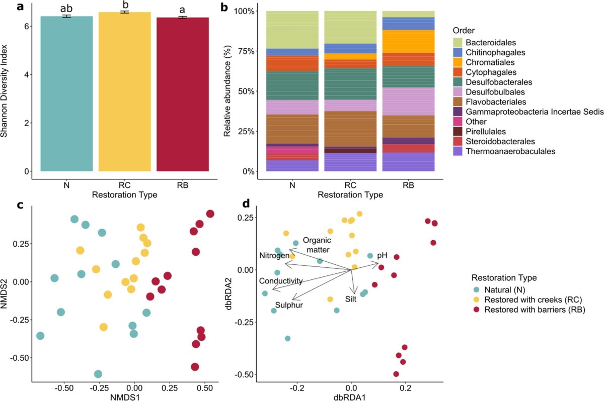 Bacterial Community Composition and Carbon-Fixation Pathway Abundance