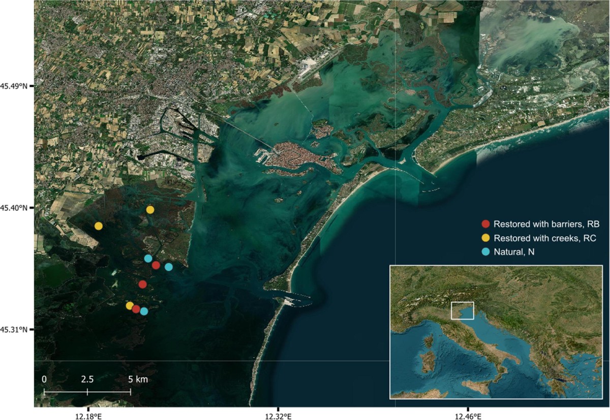 Multi-Site Sampling Network Across Natural and Reconstructed Marshes in the Venice Lagoon